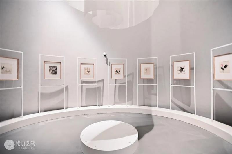 AM 特展开幕 | 往来千载——齐白石、徐悲鸿、张大千开幕回顾 齐白石 徐悲鸿 张大千 盛大 震旦博物馆 A2馆 以来 文物级 大展 徐悲鸿纪念馆 崇真艺客