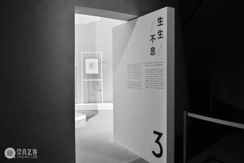 AM 特展开幕 | 往来千载——齐白石、徐悲鸿、张大千开幕回顾 齐白石 徐悲鸿 张大千 盛大 震旦博物馆 A2馆 以来 文物级 大展 徐悲鸿纪念馆 崇真艺客