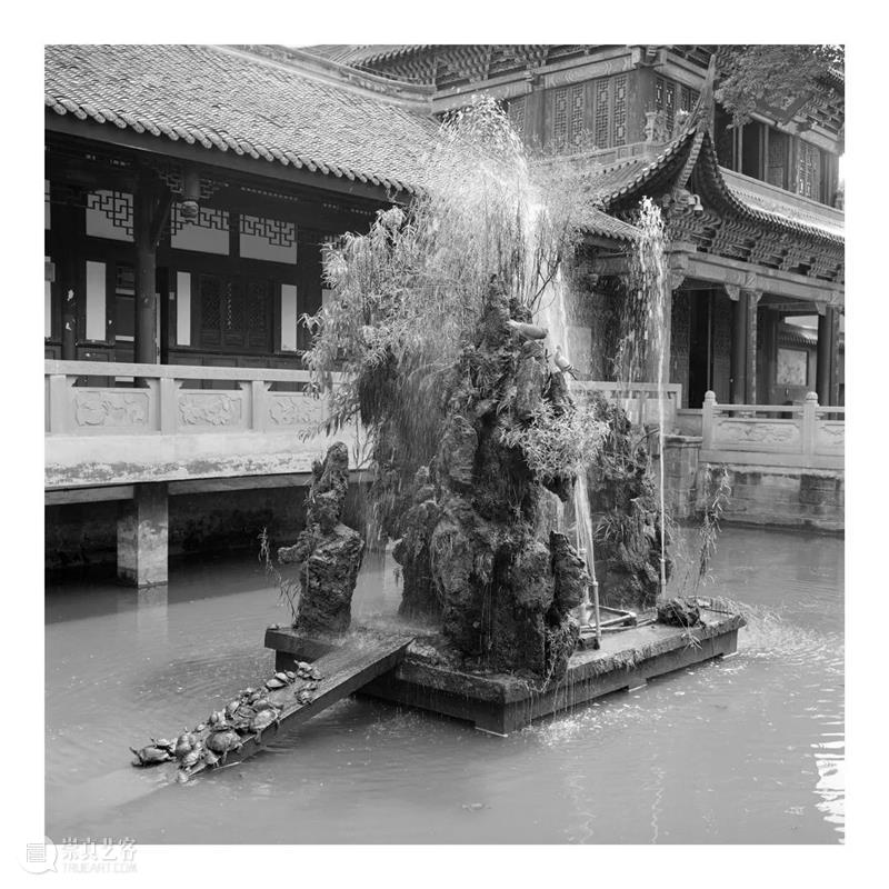 2021第九届大理国际影会国内展  | 周强：生 大理国际影会 周强 国内 策展人 牛恒立 Curator Hengli 学术 马应海 GALLERY 崇真艺客