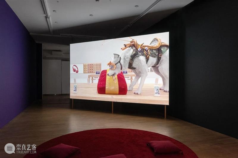 『影映』单元参展画廊 | bitforms gallery 画廊 单元 空间 艺术家 乔纳森·莫纳汉 Monaghan 新技术 职业 中期 过程 崇真艺客