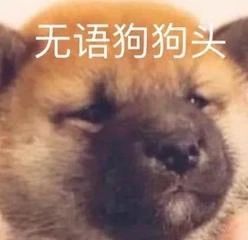 《查理和巧克力工厂》前传电影开拍；迪士尼新片曝预告 电影 查理和巧克力工厂 前传 新片 迪士尼 预告 影视 好剧 小豆 资讯 崇真艺客