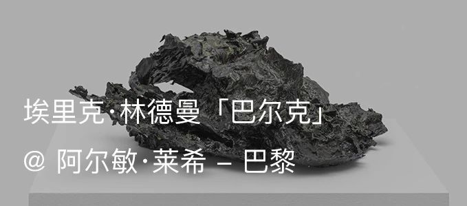 展览现场｜阿尔敏·莱希@2021年DnA SHENZHEN艺术与设计博览会｜展位C17 阿尔敏 DnA 艺术 博览会 展位 莱希@ 现场 SHENZHEN 莱希 画廊 崇真艺客