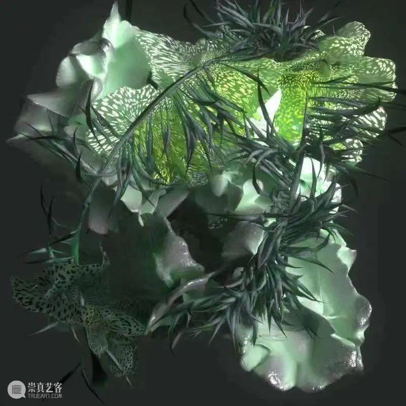 接力,棒!——交叉小径的花园 交叉小径的花园 计划 2022冬奥会 艺术 项目 Realay Bravo jardín 时间 国内 崇真艺客