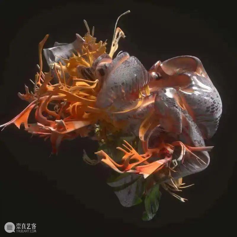 接力,棒!——交叉小径的花园 交叉小径的花园 计划 2022冬奥会 艺术 项目 Realay Bravo jardín 时间 国内 崇真艺客