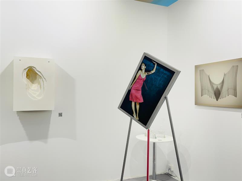 BlueriderDaily 艺博 DnA SHENZHEN 甫开展告捷 艺博 DnA SHENZHEN 设计与艺术博览会 藏家 展位 首日 捷报 深圳 艺术家 崇真艺客
