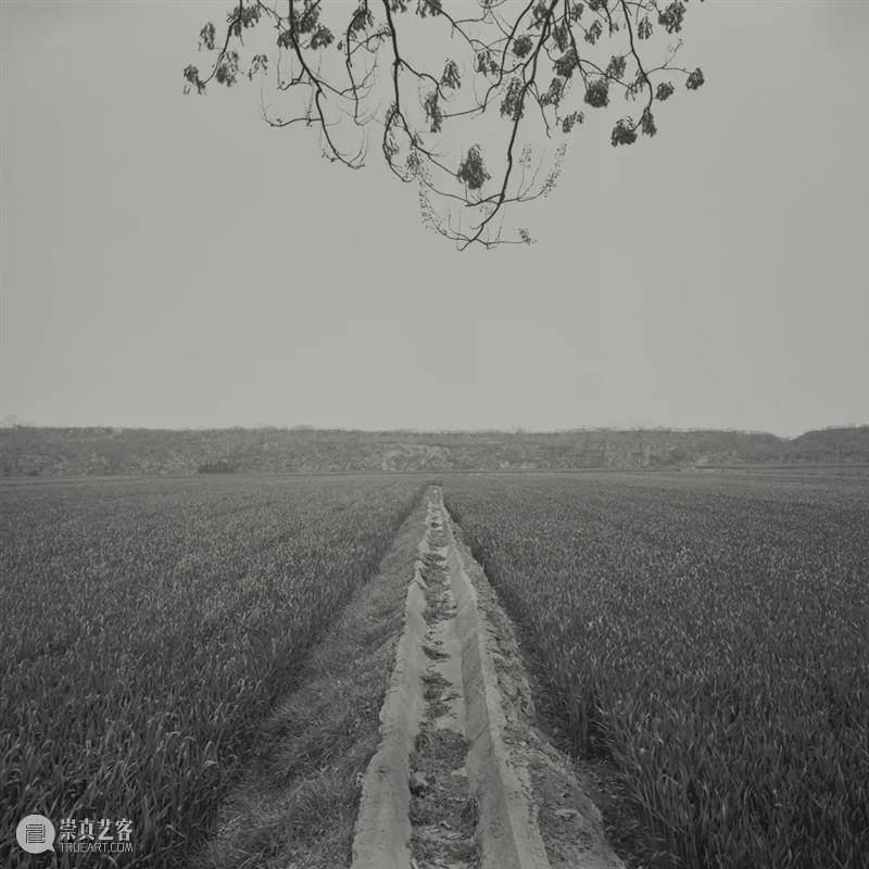 “重要的不是摄影:中央美术学院摄影纪程”今日开展 中央美术学院 纪程 时间 地点 中央美院美术馆 展厅 中央美术学院美术馆 馆藏 精品 大系 崇真艺客
