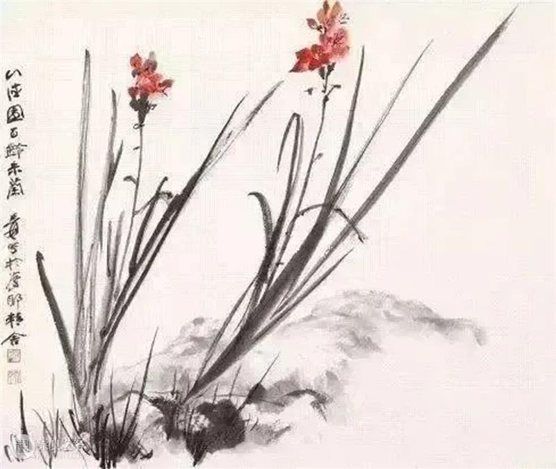 绘画丨18幅张大千国画兰花图 国画 张大千 兰花 绘画 上方 中国舞台美术学会 右上 星标 本文 兰花图 崇真艺客