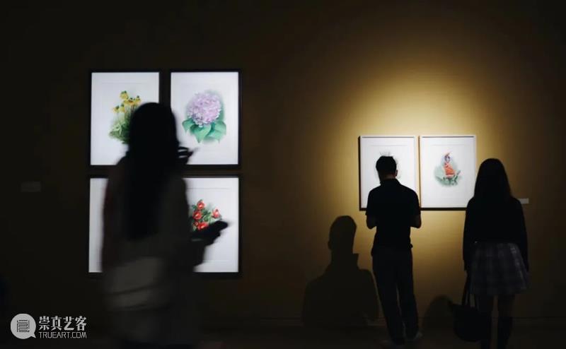 CGK活动 | 十一国庆节期间进行免费公众导览 期间 公众 导览 活动 CGK 昆明 当代美术馆 计划 导览员 作品 崇真艺客