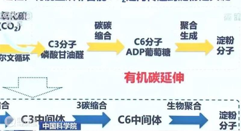 改变世界的颠覆性突破，人工合成淀粉，比你想象中的更重要 淀粉 颠覆性 世界 未来 钥匙 中国科学院天津工业生物技术研究所 实验室 人工 国际 科学 崇真艺客