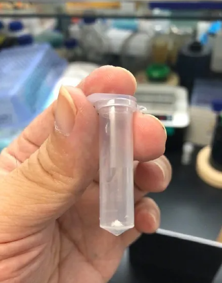 改变世界的颠覆性突破，人工合成淀粉，比你想象中的更重要 淀粉 颠覆性 世界 未来 钥匙 中国科学院天津工业生物技术研究所 实验室 人工 国际 科学 崇真艺客