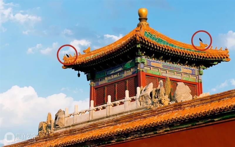 故宫的屋顶上没有鸟屎？这些听起很“靠谱”的谣言，你是不是也信了 故宫 谣言 屋顶 鸟屎 本文 耳朵 博物馆 erduolidebowuguan 作者 朵朵 崇真艺客