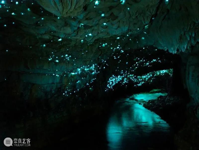 幻境不露锋芒，与世隔绝的大洋洲，不只有袋鼠和大堡礁 大洋洲 袋鼠 幻境 大堡礁 寻幽 神仙境 秘浑 澳大利亚 昆士兰热带雨林 南美洲 崇真艺客