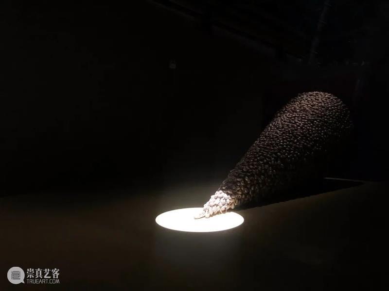 [ OCAT深圳馆｜开幕回顾 ] “记忆术”“记忆宫殿”“李怒：诞生” 记忆 OCAT 深圳馆 记忆术 宫殿 李怒 时间 核心 度量 世界 崇真艺客