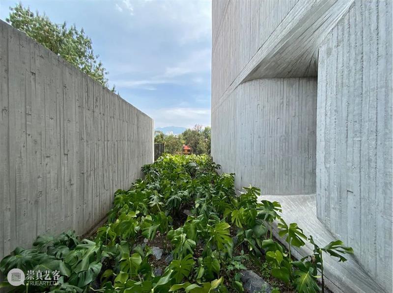 陷入混凝土的窗，‘孔洞’公寓 / YOUNG & AYATA + Michan Architecture Architecture 公寓 孔洞 混凝土 项目 墨西哥城 City 住宅 卧室 停车场 崇真艺客