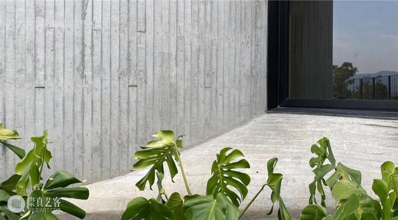 陷入混凝土的窗，‘孔洞’公寓 / YOUNG & AYATA + Michan Architecture Architecture 公寓 孔洞 混凝土 项目 墨西哥城 City 住宅 卧室 停车场 崇真艺客
