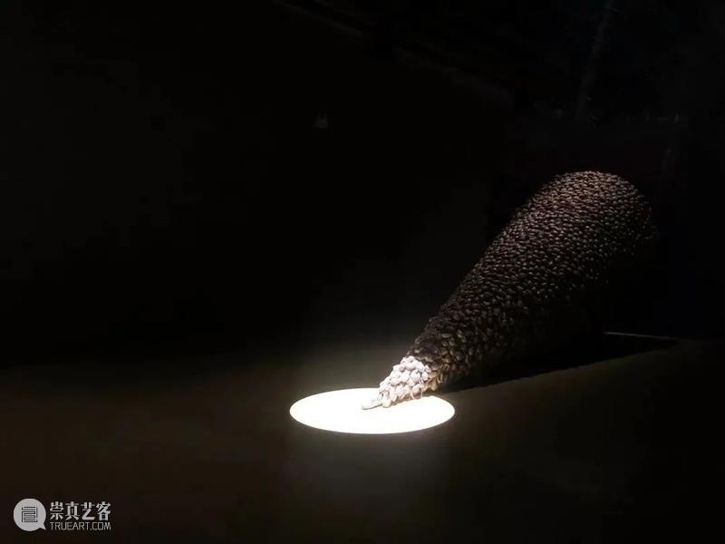 华·美术馆|开幕回顾 :“记忆宫殿”+“记忆术” 记忆 华·美术馆 宫殿 记忆术 时间 核心 度量 世界 物理 尺度 崇真艺客