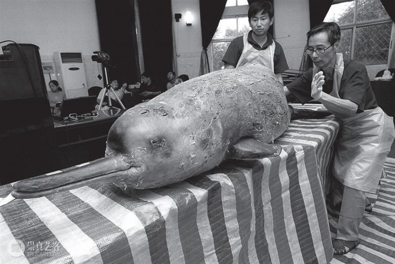 COP15倒计时8天，保护生物多样性，我们需要你的加入 生物 多样性 倒计时 中国 雄心 国家 地理 图书 联合国 环境 崇真艺客