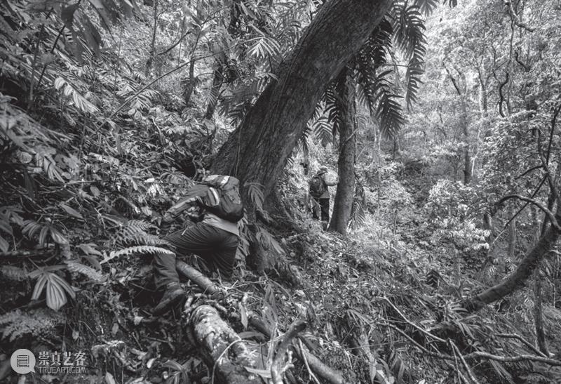 COP15倒计时8天，保护生物多样性，我们需要你的加入 生物 多样性 倒计时 中国 雄心 国家 地理 图书 联合国 环境 崇真艺客