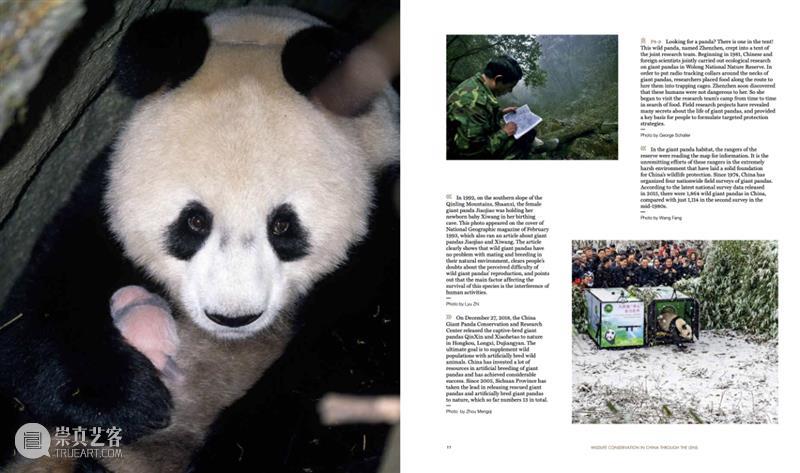 COP15倒计时8天，保护生物多样性，我们需要你的加入 生物 多样性 倒计时 中国 雄心 国家 地理 图书 联合国 环境 崇真艺客