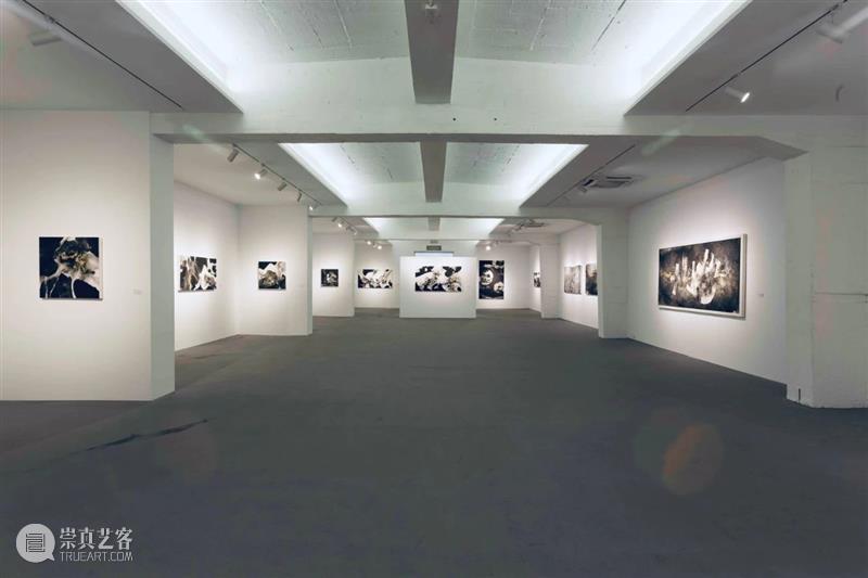 太和展览 | 时代众生相——老倔水墨作品展 水墨 作品展 时代 太和 众生相 嘉宾 策展人 贾廷峰 时间 地点 崇真艺客