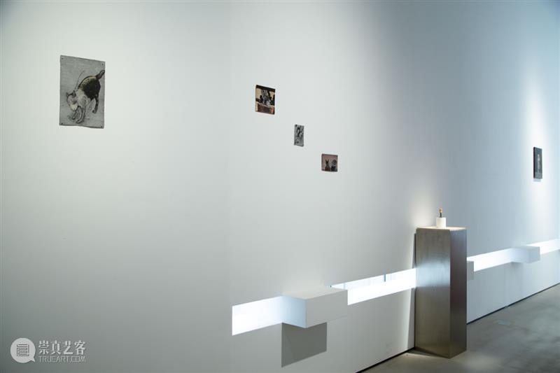 万一现场|展览《弗里德里希·埃因霍夫个展-人是个谜》 弗里德里希 埃因霍夫 个展 现场 图片 详情 Exhibition enigma展期Duration 地址 Venue 崇真艺客