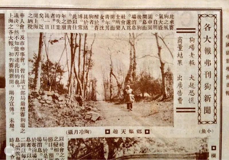 光风霁月——陶冷月民国时期画展作品选粹 光风霁月 陶冷月 作品 画展 名号 艺术 展期 时间 地点 北京市朝阳区 崇真艺客