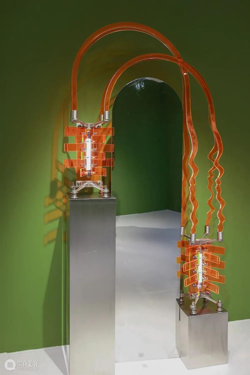 DnA SHENZHEN 在展 ｜共代谢工作室最新艺术项目《位移》 DnA SHENZHEN 艺术 位移 项目 ｜共代谢工作室 设计与艺术博览会 地点 深圳 城市 崇真艺客