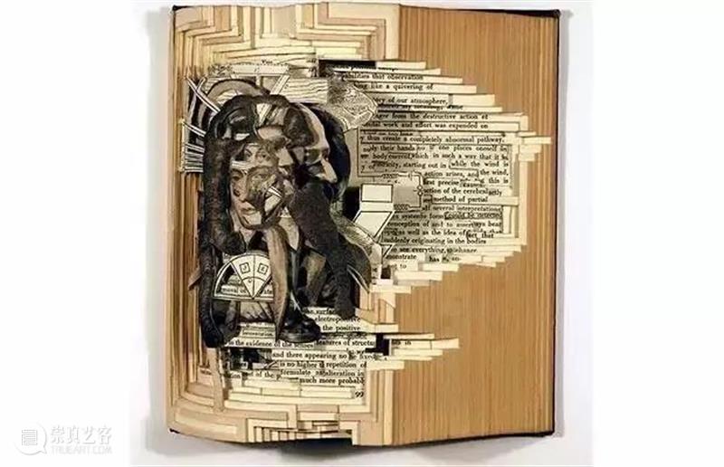 绘画丨书的雕塑家Brian dettmer——将你不看的书，再次创作 绘画 Brian 雕塑家 dettmer 上方 中国舞台美术学会 右上 星标 本文 巨匠 崇真艺客