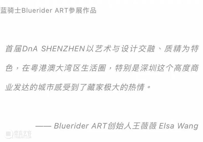 BlueriderDaily 回顾 DnA SHENZHEN设计与艺术博览会 A09 DnA SHENZHEN 设计与艺术博览会 artnet 新闻 艺术 商业 Amelie 深圳 本地 崇真艺客