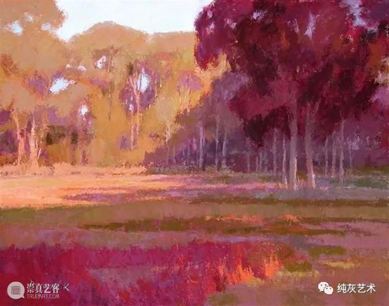 表达自然光的色彩 自然光 色彩 颜色 主题 美国 画家 Camille 户外 光线 形式 崇真艺客