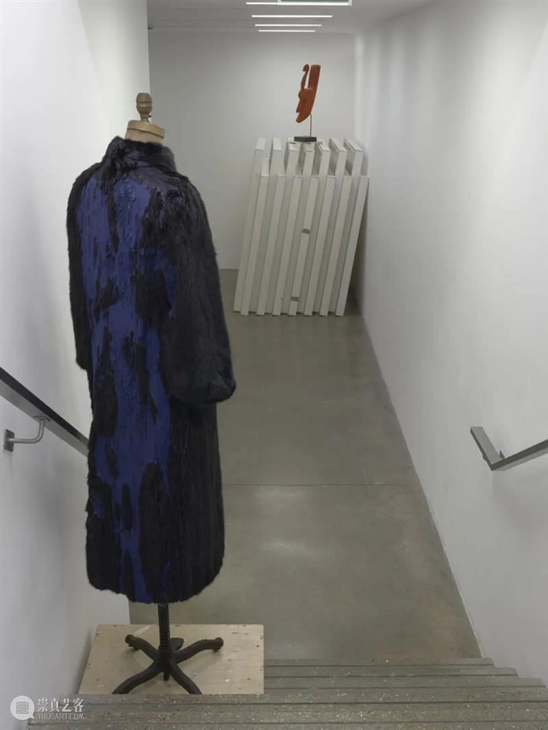 白立方沙龙 | 戴维·哈蒙斯（David Hammons） Hammons 戴维 哈蒙斯 白立方 沙龙 Untitled detail 无题 纽约 雕塑 崇真艺客