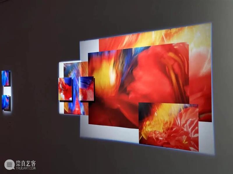 【展览现场】关于花的三重想象 | 北京 北京 现场 海报 详情 花策展人 艺术家 余若婕 展期 地点 三影堂摄影艺术中心 崇真艺客
