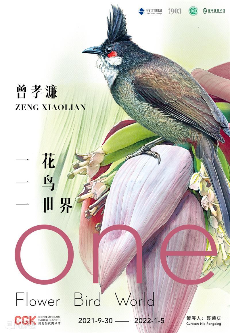 CGK艺工坊回顾｜花枝叶蔓间，展现心中的锦簇花团 枝叶 心中 锦簇花团 CGK艺工坊 昆明 当代美术馆 一花 世界 曾孝濂 新作 崇真艺客