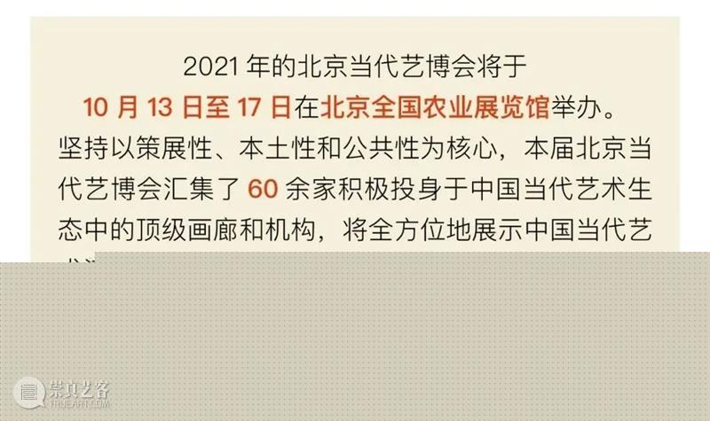 北京当代艺博会2021参展机构｜Allbirds  北京当代艺博会 Allbirds 北京 艺博会 机构 官方 微信 程序 code 官网 微博 崇真艺客