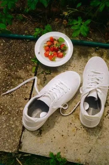 北京当代艺博会2021参展机构｜Allbirds  北京当代艺博会 Allbirds 北京 艺博会 机构 官方 微信 程序 code 官网 微博 崇真艺客