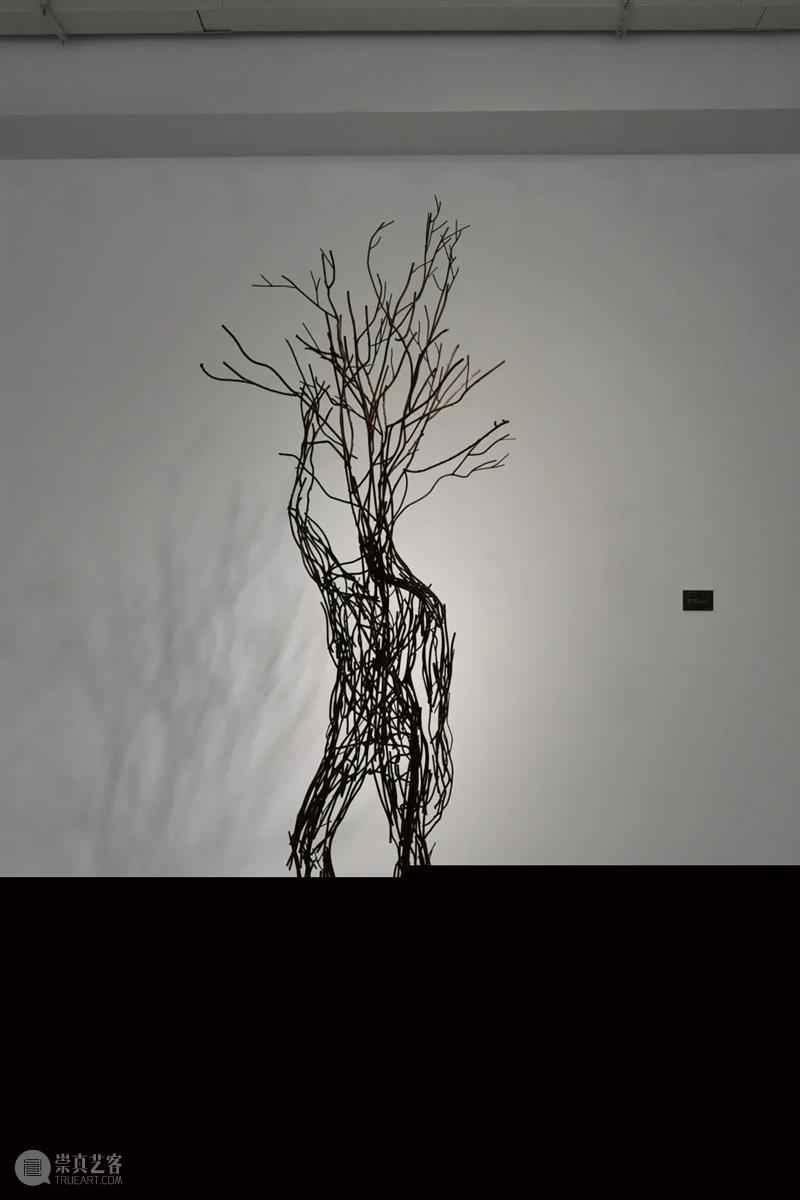 课程展览 | 钢铁制造 上美雕塑 课程 钢铁 上海美术学院雕塑系 金属 雕塑 作品 时间 地点 上海美术学院美术馆 主课 崇真艺客