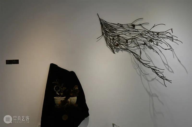 课程展览 | 钢铁制造 上美雕塑 课程 钢铁 上海美术学院雕塑系 金属 雕塑 作品 时间 地点 上海美术学院美术馆 主课 崇真艺客