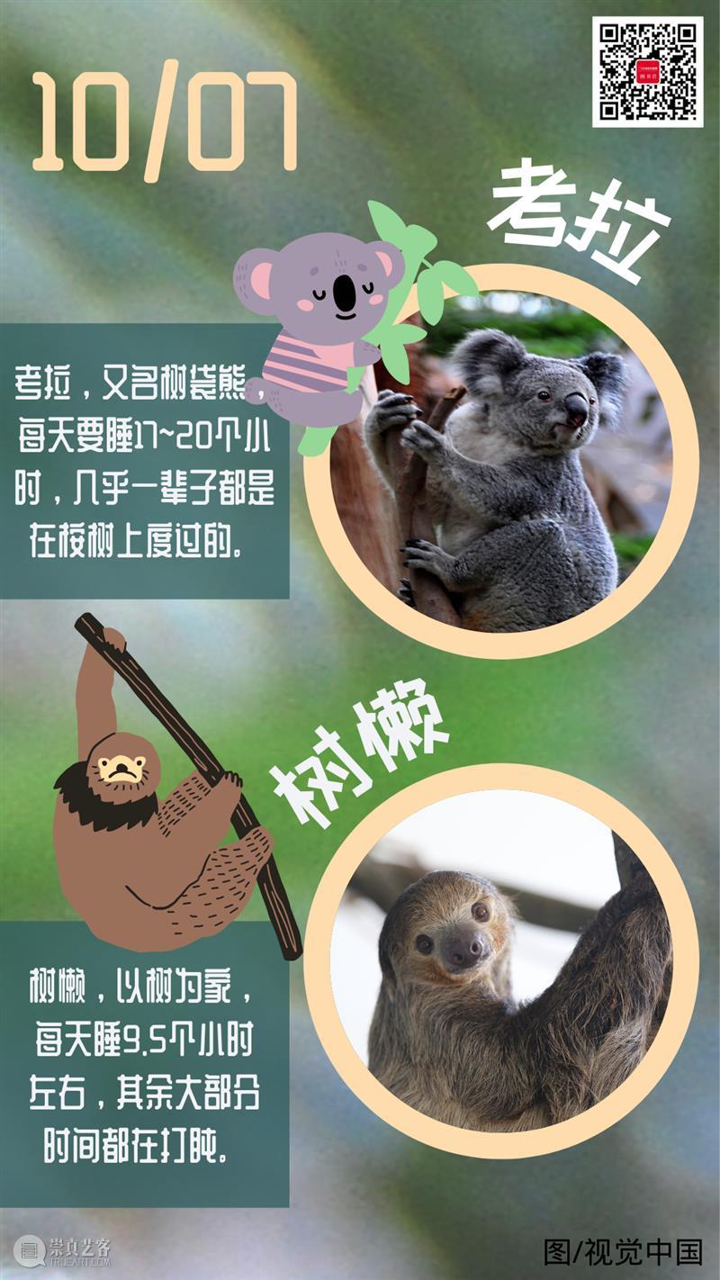 【日签】\n眨眼间就到了国庆假期的最后一天，但某些动物却能每天休息十几个小时！！  中国国家地理BOOK 眨眼间 假期 动物 小时 window second open document.getElementById image desc 崇真艺客