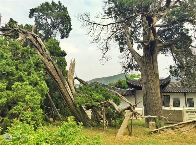 吴县繁华如许 遍览世间乐土(四)——吴县 高阁临渊 吴县 世间 乐土 如许 崧泽 良渚文明 时代 先民 甪直 部落 崇真艺客
