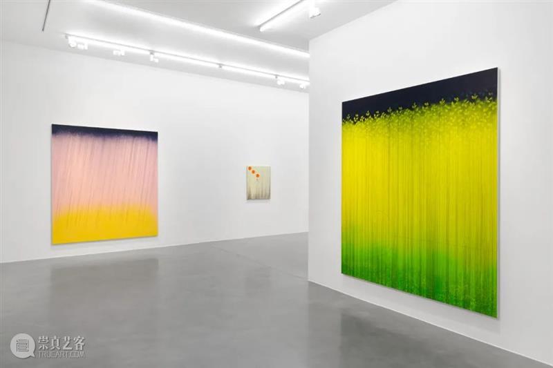 展览现场|雷切尔·霍华德:你有一份新记忆 Simon Lee 画廊 雷切尔·霍华德 记忆 现场 时间 过去 霍华德 绘画 可能性 作品 不确定性 崇真艺客