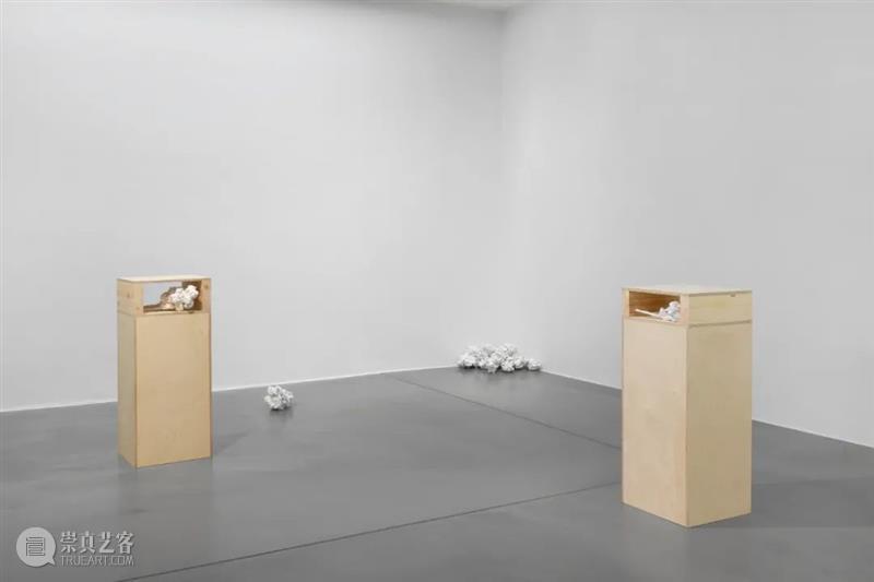 展览现场|雷切尔·霍华德:你有一份新记忆 Simon Lee 画廊 雷切尔·霍华德 记忆 现场 时间 过去 霍华德 绘画 可能性 作品 不确定性 崇真艺客