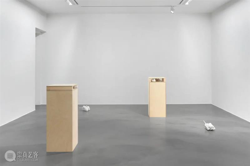展览现场|雷切尔·霍华德:你有一份新记忆 Simon Lee 画廊 雷切尔·霍华德 记忆 现场 时间 过去 霍华德 绘画 可能性 作品 不确定性 崇真艺客