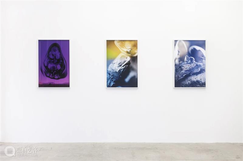 线上展厅｜约瑟芬·普赖德 ：回应欲望 线上 展厅 约瑟芬 普赖德 欲望 东西 照片 普莱德 MoMA 裸眼 崇真艺客