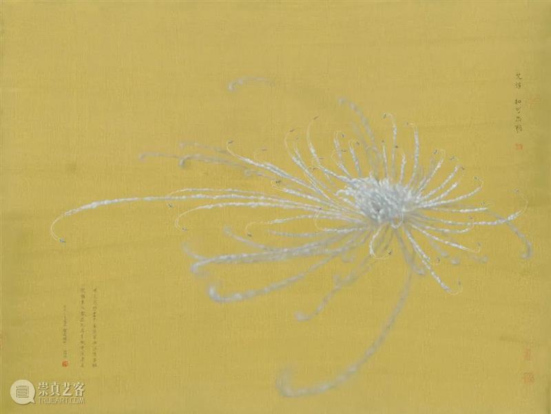 【线上展览】艺术凤凰——张新权、张哲溢双个展  凤凰艺都美术馆 线上 艺术 凤凰 张新权 张哲 个展 艺术家 情境 思维 情感 崇真艺客