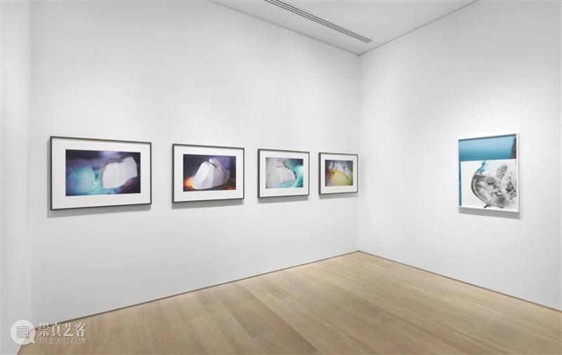 线上展厅｜约瑟芬·普赖德 ：回应欲望 线上 展厅 约瑟芬 普赖德 欲望 东西 照片 普莱德 MoMA 裸眼 崇真艺客