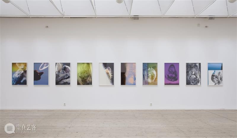 线上展厅｜约瑟芬·普赖德 ：回应欲望 线上 展厅 约瑟芬 普赖德 欲望 东西 照片 普莱德 MoMA 裸眼 崇真艺客