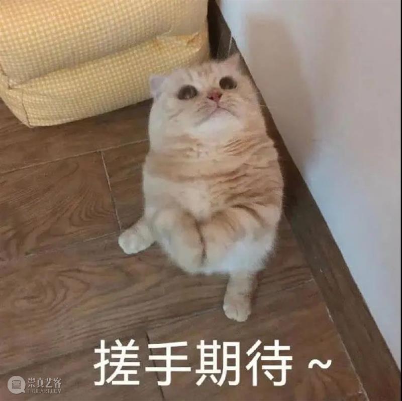 国庆档票房破42亿;古天乐张智霖吴镇宇《暗杀风暴》正式官宣 视频资讯 Douban编辑部 票房 暗杀风暴 官宣 古天乐 张智霖 吴镇宇 影视 好剧 小豆 资讯 崇真艺客