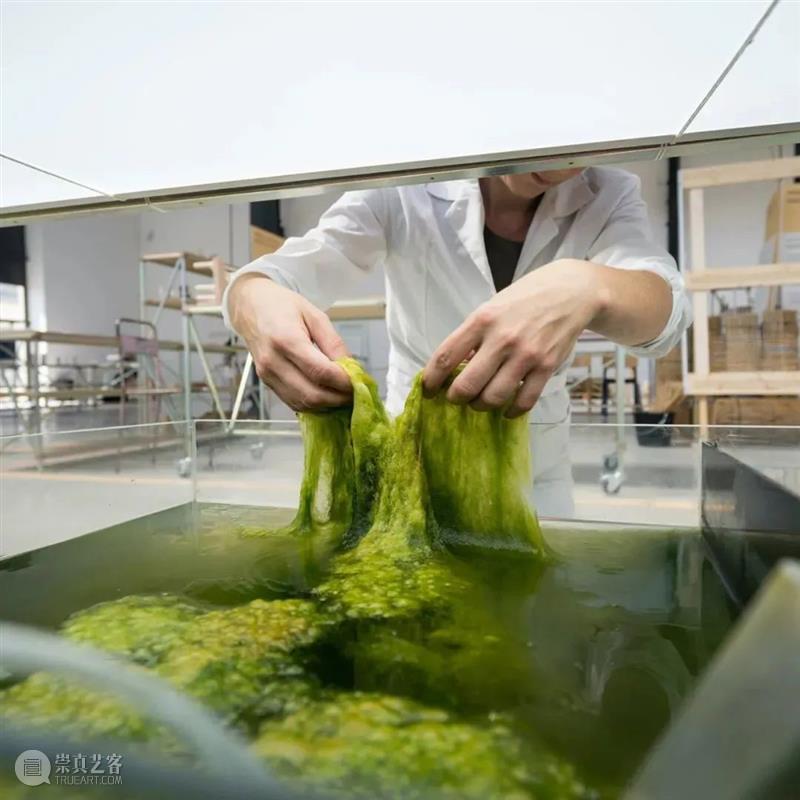 “万物生息”系列讲座(二) |思辨的工具 中央美术学院美术馆 工具 讲座 万物 系列 来源 中央美术学院设计学院 嘉宾 博伦 Boelen简 Boelen 崇真艺客