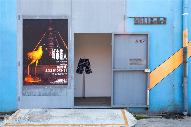 FAS现场 | 莫倪健：城市猎人 视频资讯 要空间 崇真艺客