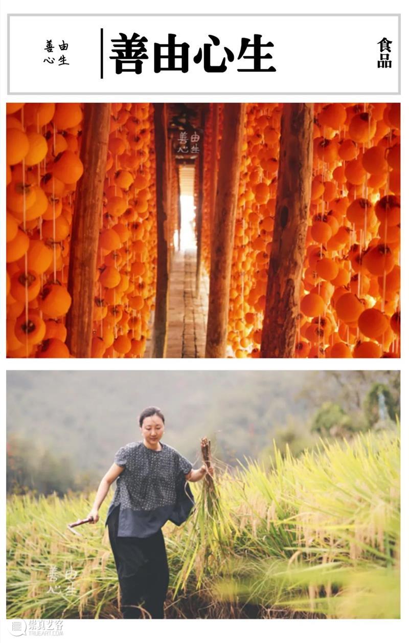 橙黄橘绿时，青灯市集秋季大会风景独好｜特色主理人和Ta的品牌（一）  一文有鱼 崇真艺客